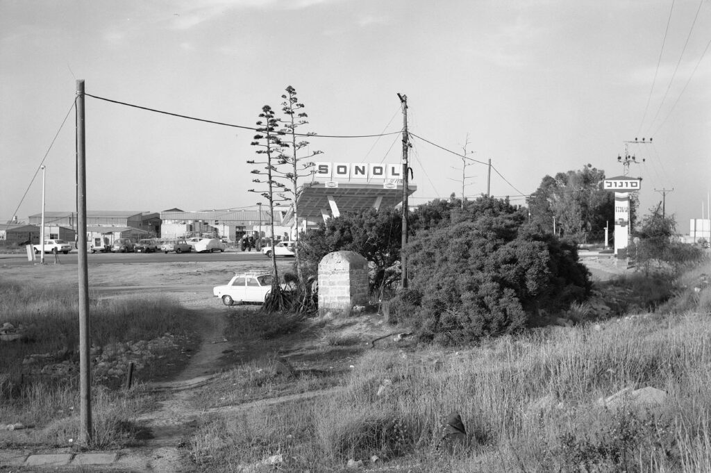 ללא כותרת - און אליה