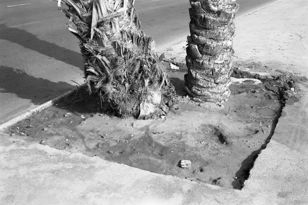 ללא כותרת - און אליה