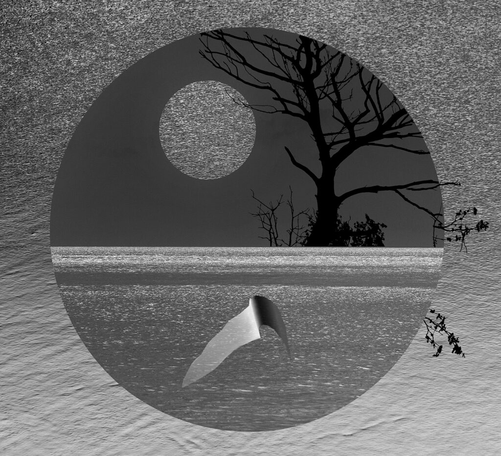 ים/יבשה - בן-נון מלמד נועה