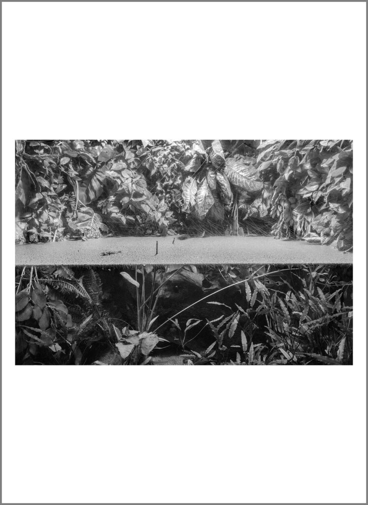 דברי ימי הימים - בן-נון מלמד נועה