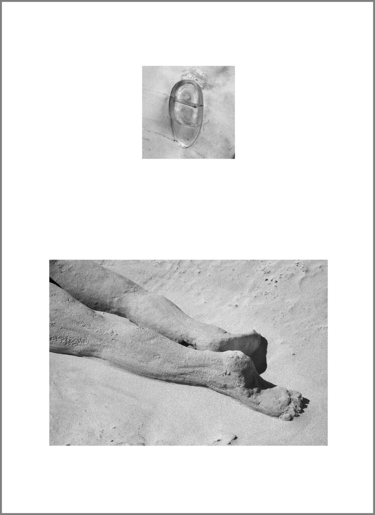 דברי ימי הימים - בן-נון מלמד נועה