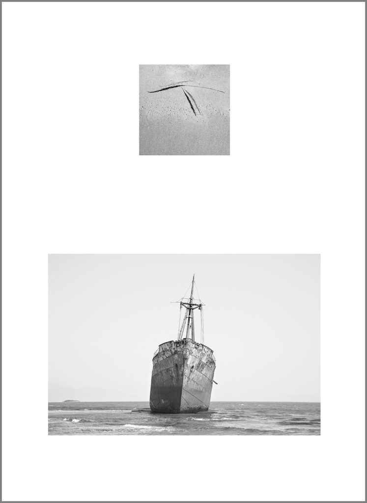 דברי ימי הימים - בן-נון מלמד נועה