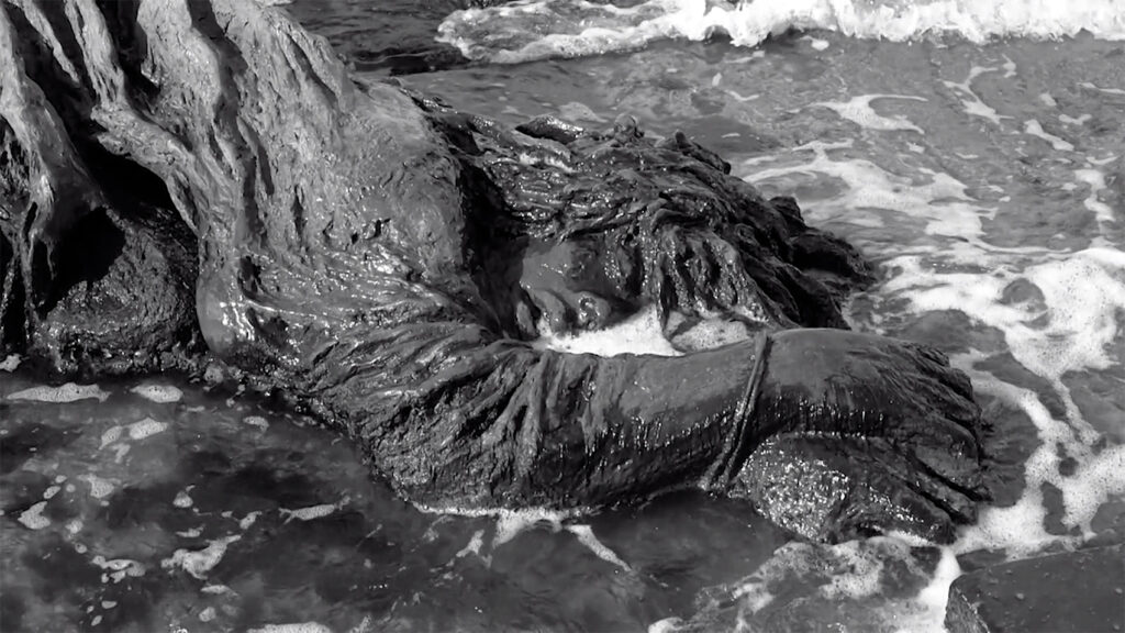 דברי ימי הימים - בן-נון מלמד נועה