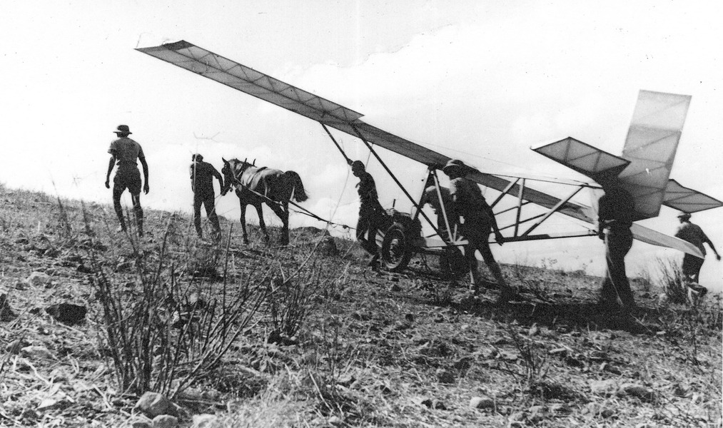 אימון בדאייה - פורת אלינור