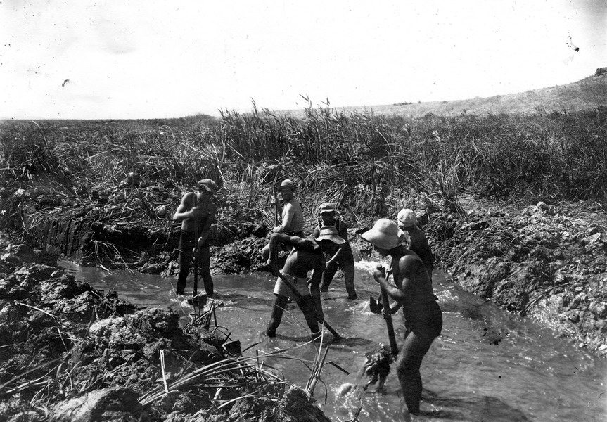 ייבוש ביצות בעמק - סלוס רפאל