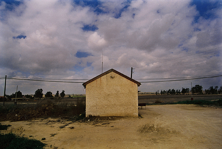 ללא כותרת - אמיתי-טביב טלי