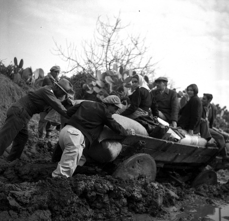 עגלה שקועה בבוץ - פרלמוטר דוד