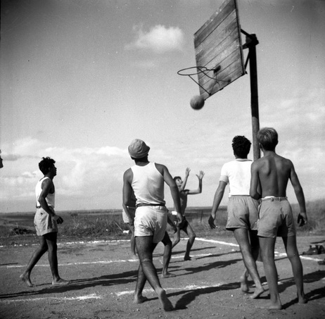 כדורסל - פרלמוטר דוד