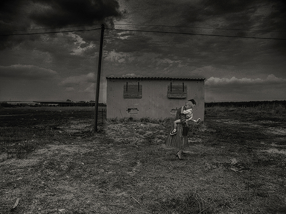 ללא כותרת - אמיתי-טביב טלי