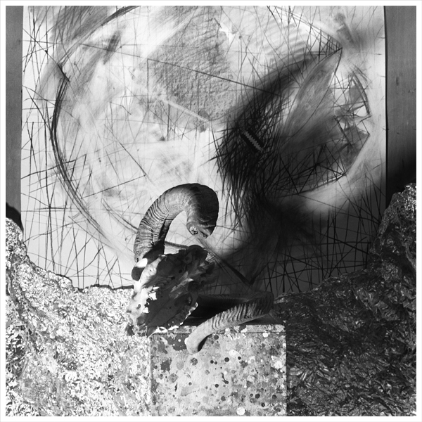 בין עונג לכאב - אילת אברהם