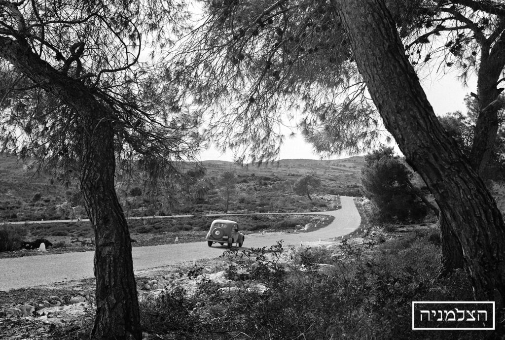 מכונית ביערות הכרמל - ויסנשטין רודי (שמעון)