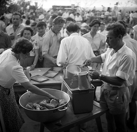 ארוחת חג בחוץ - פרלמוטר דוד