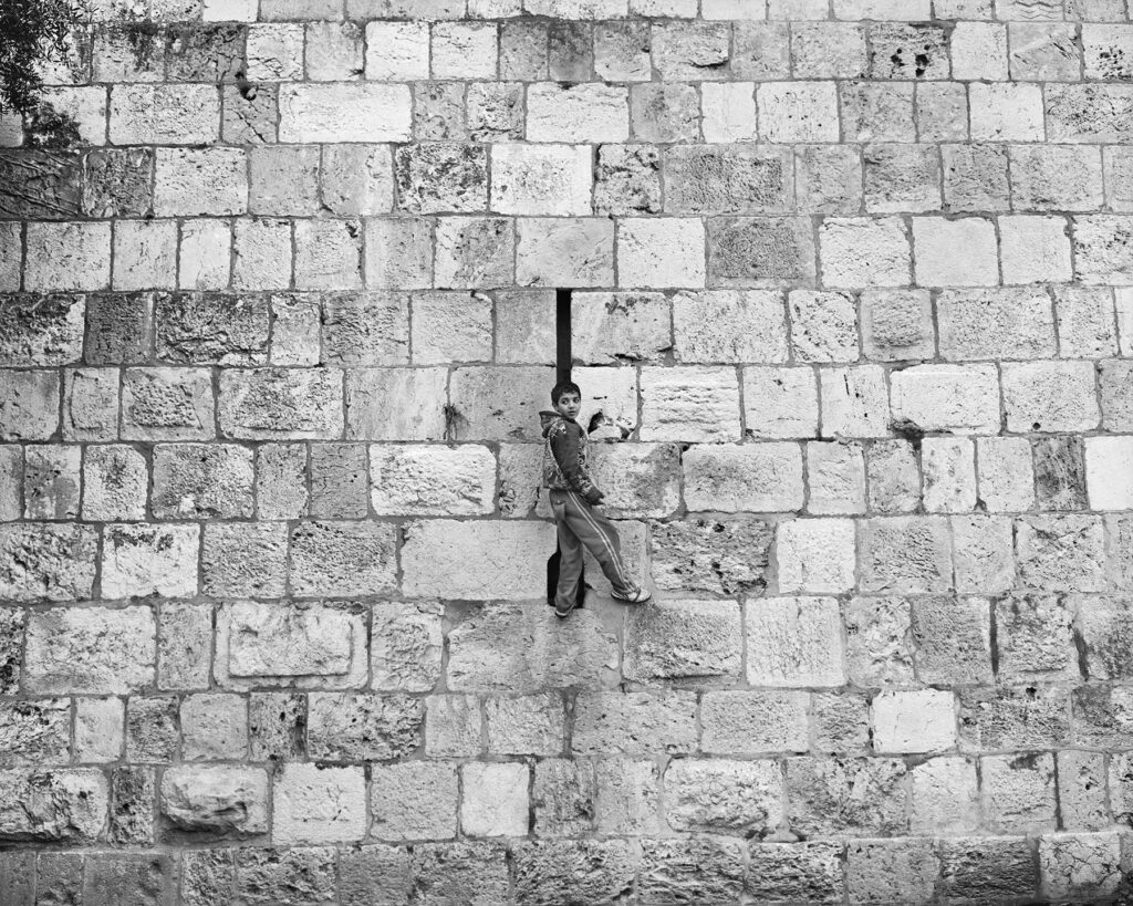 ללא כותרת - איצקוביץ גסטון צבי