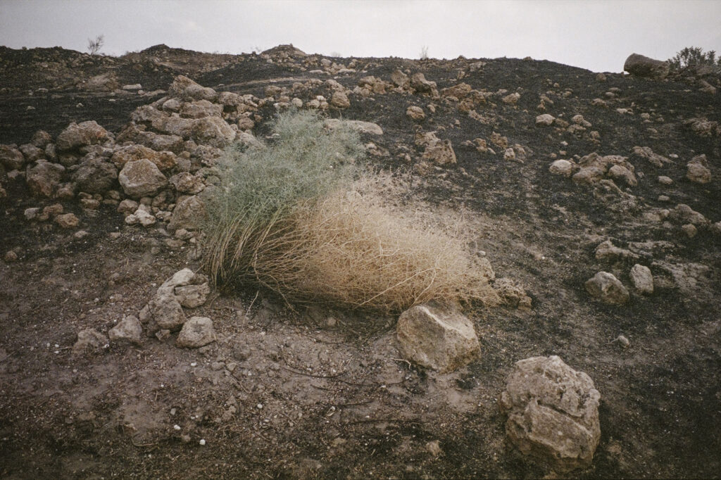 ללא כותרת (סמסם) - איצקוביץ גסטון צבי