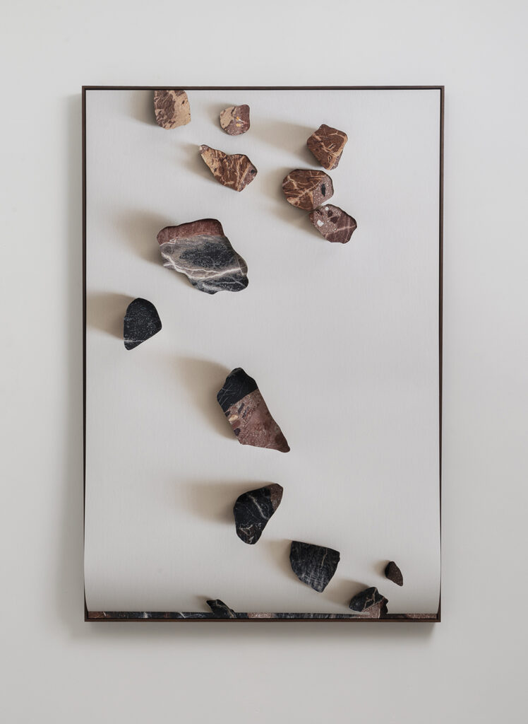 ללא כותרת - אלבלינג ליאת