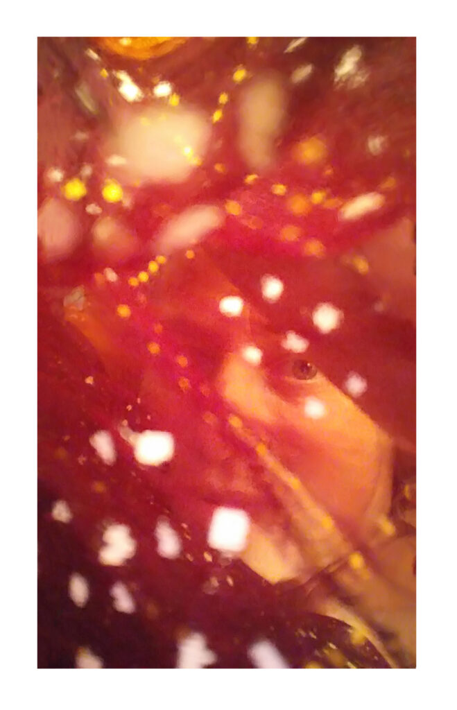 אדום 2 - בן יעקב ברקת