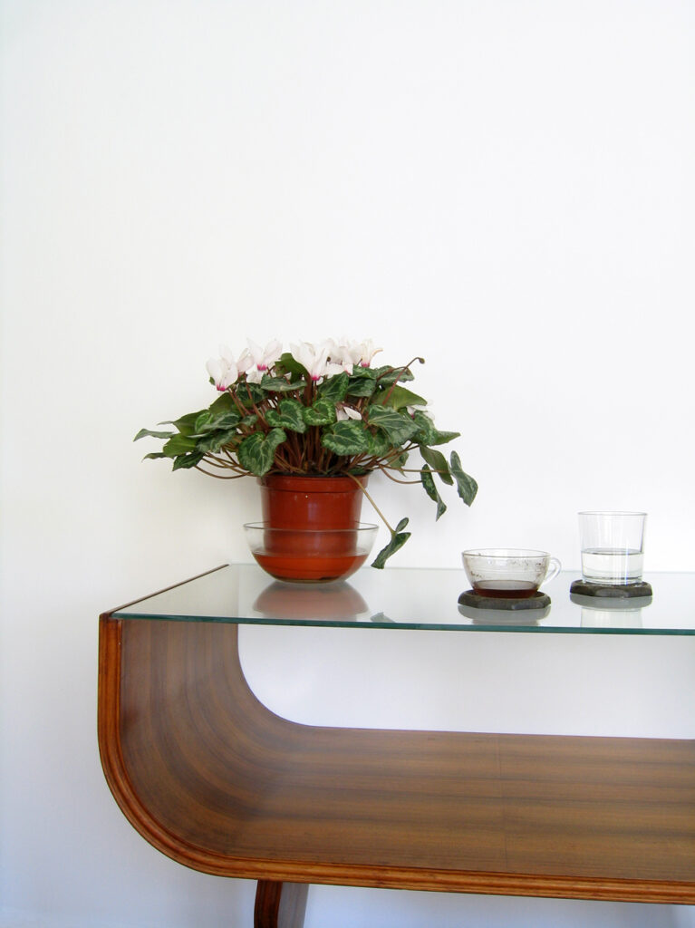 אביב - גרשוני אורי