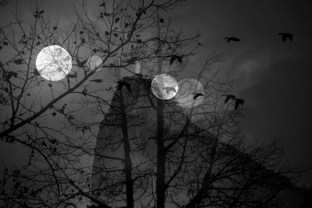 ירח מלא - גרשוני אורי