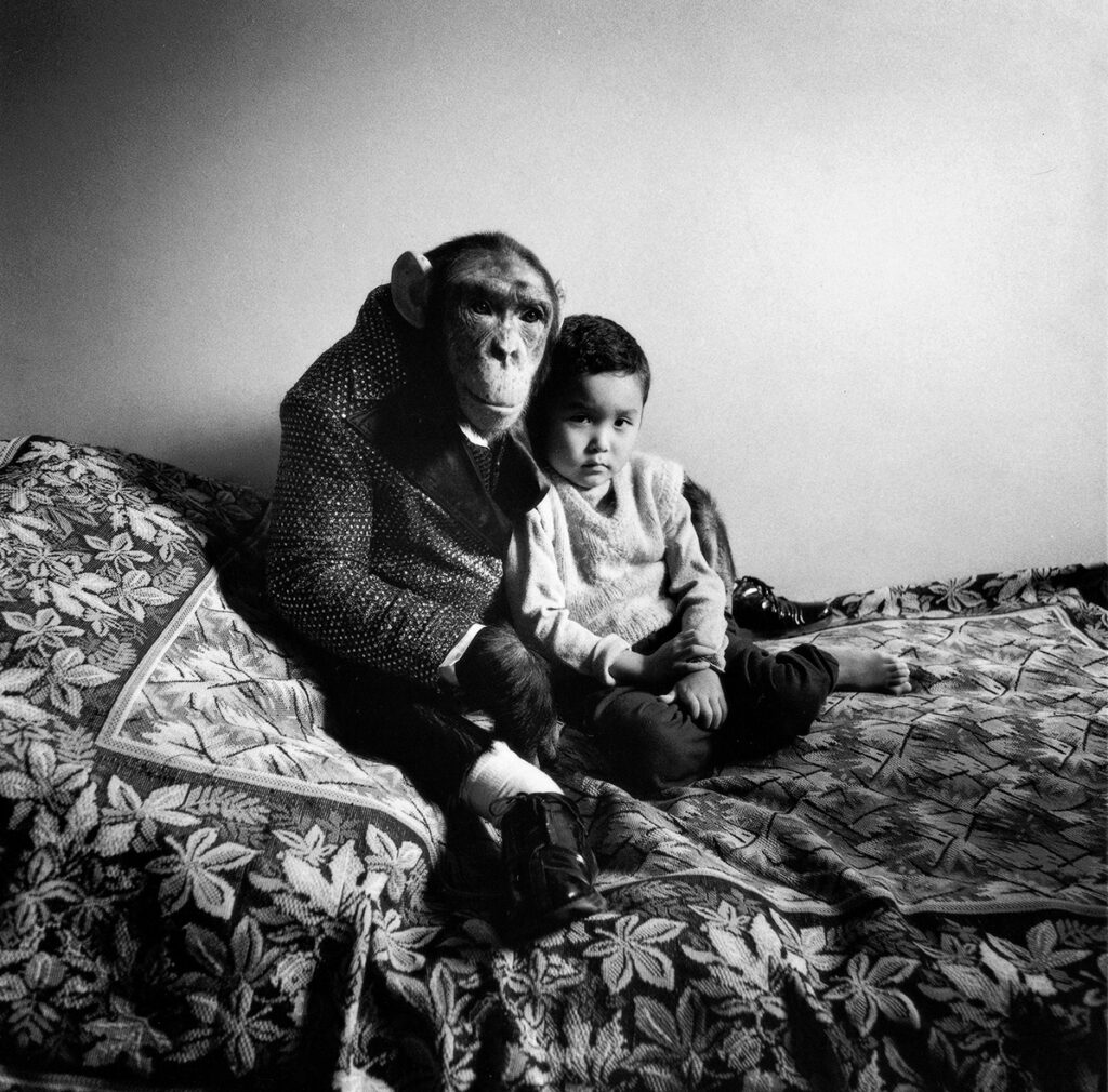 Mickey and Amir - חלבין מיכל