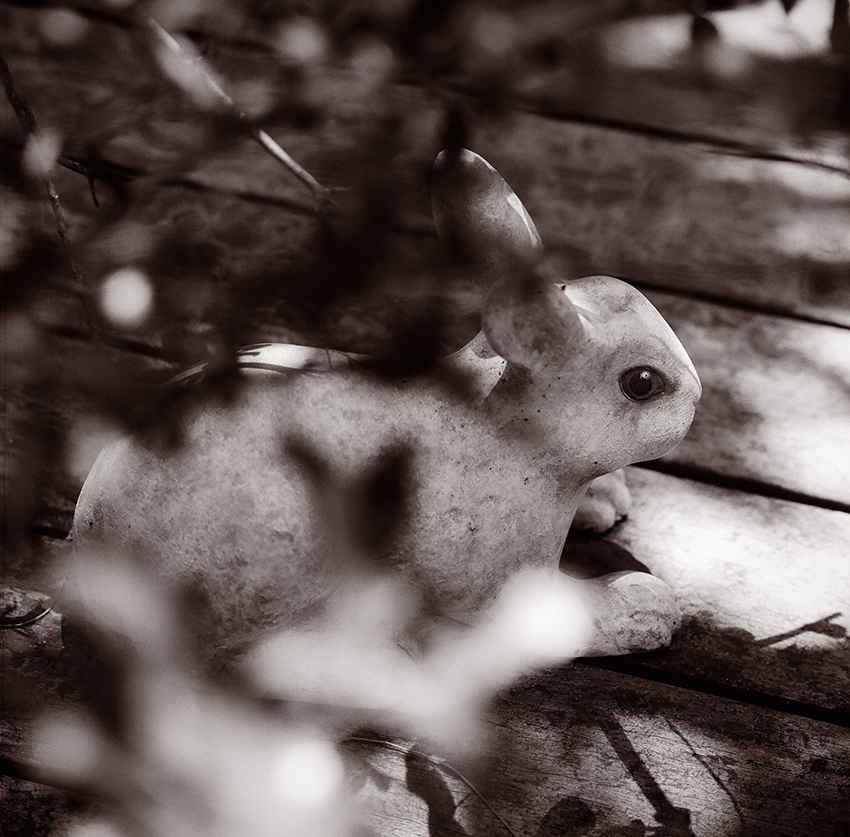 ללא כותרת - גנור אבי