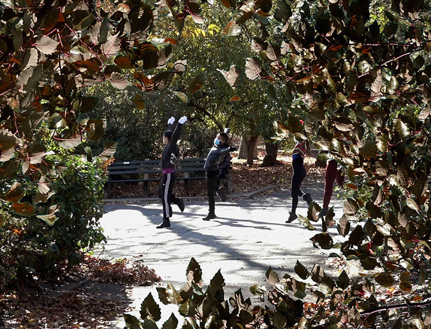 חזרה - וייס הינדה