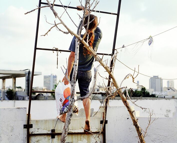 ללא כותרת - וייס הינדה