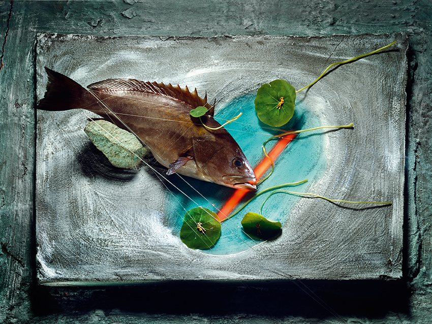 ללא כותרת - גנור אבי