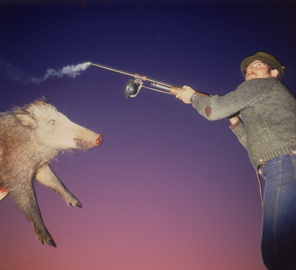 ציד חזירים - קירשנר מיכה