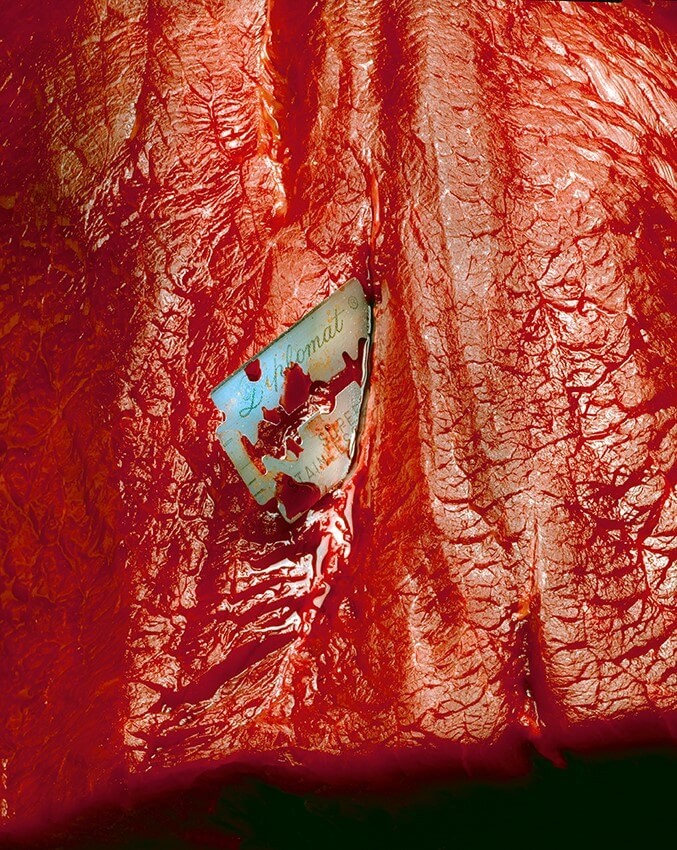 דיפלומט- פוליטיקה - גנור אבי