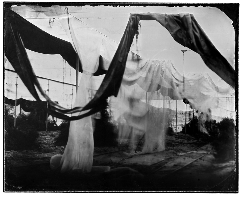 ללא כותרת - קפרוב אדוארד