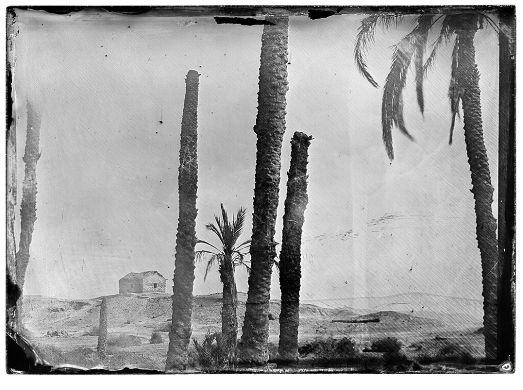 ללא כותרת - קפרוב אדוארד