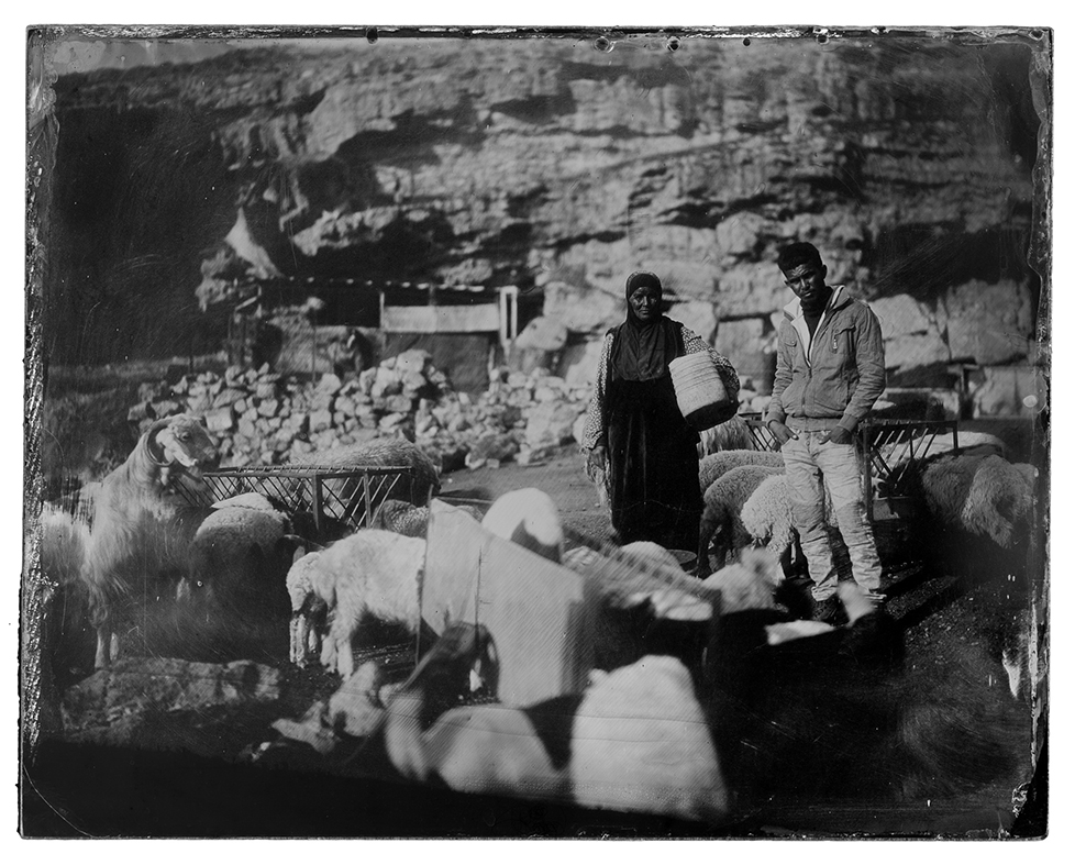 ללא כותרת - קפרוב אדוארד