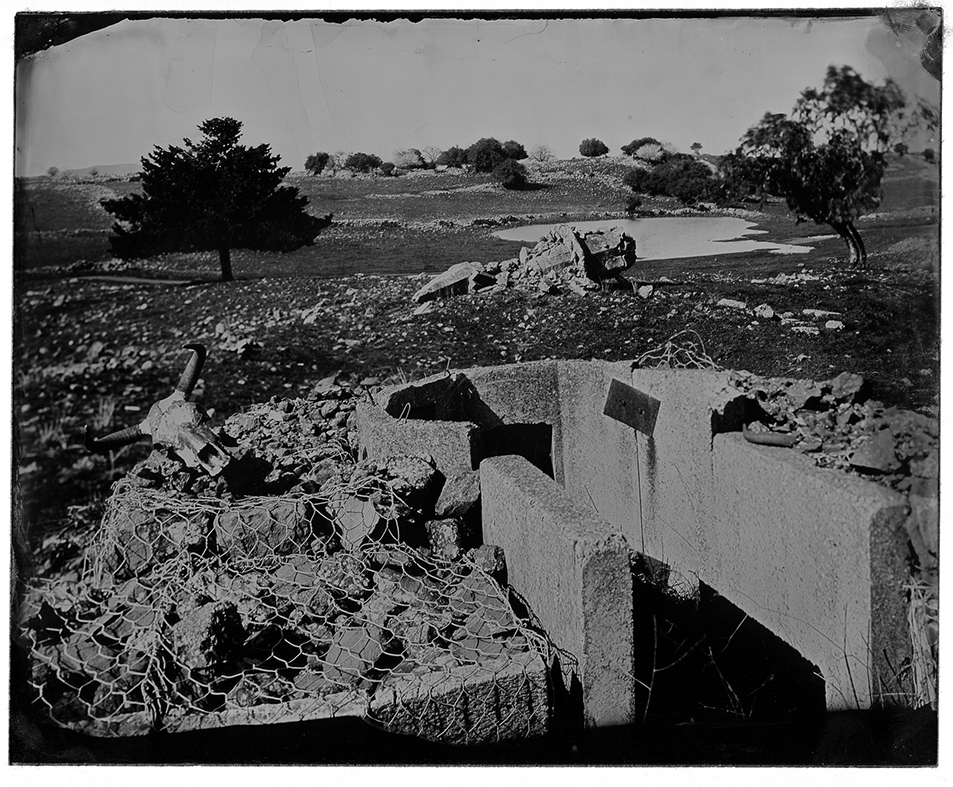 ללא כותרת - קפרוב אדוארד