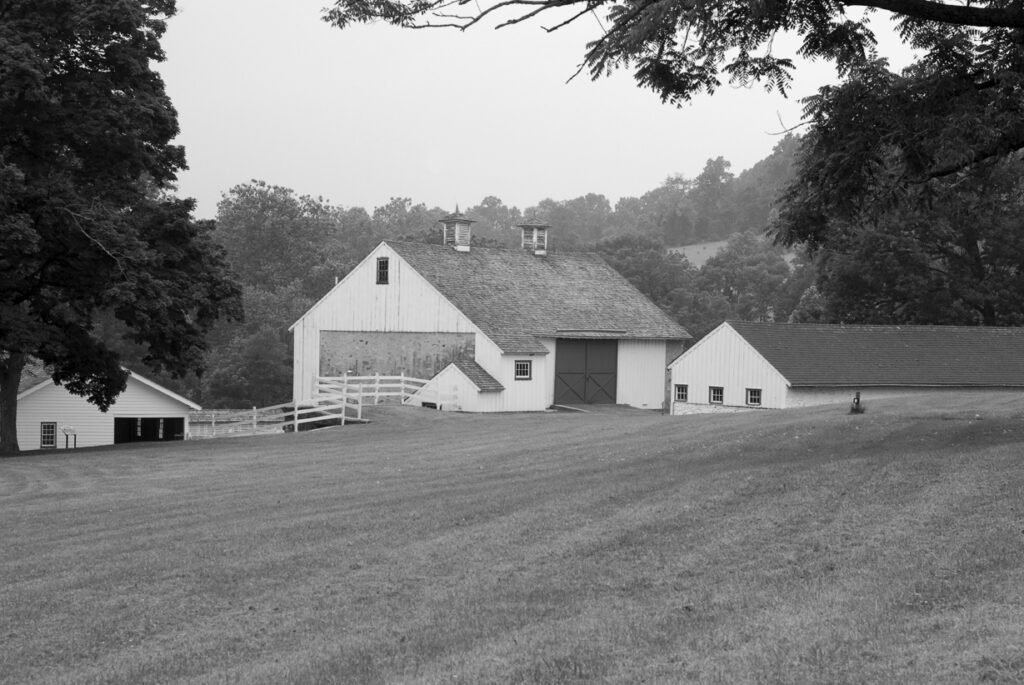The Farm (Valley forge) - ברק יאיר