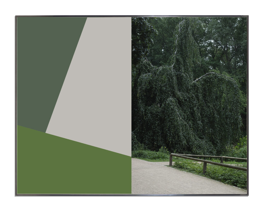 Parks & Recreations - ברק יאיר