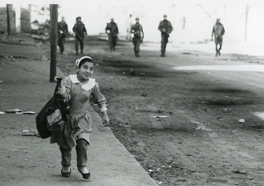 עזה - ליבק אלכס