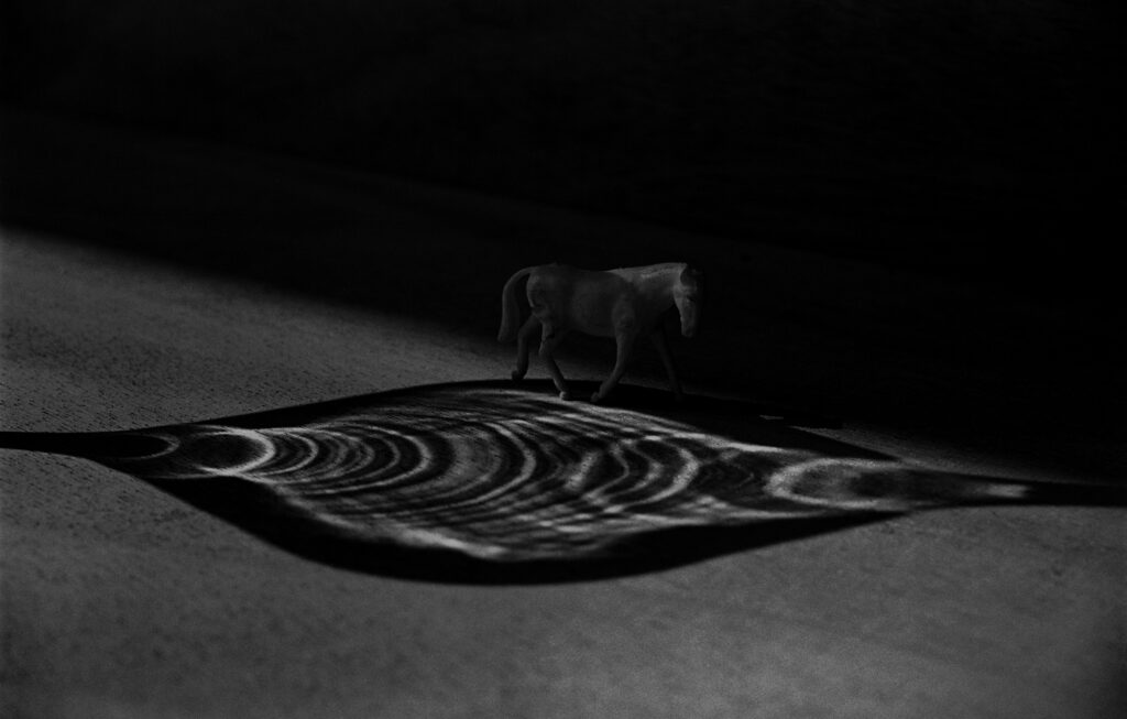 ללא כותרת (E15) - קורמוש שוש