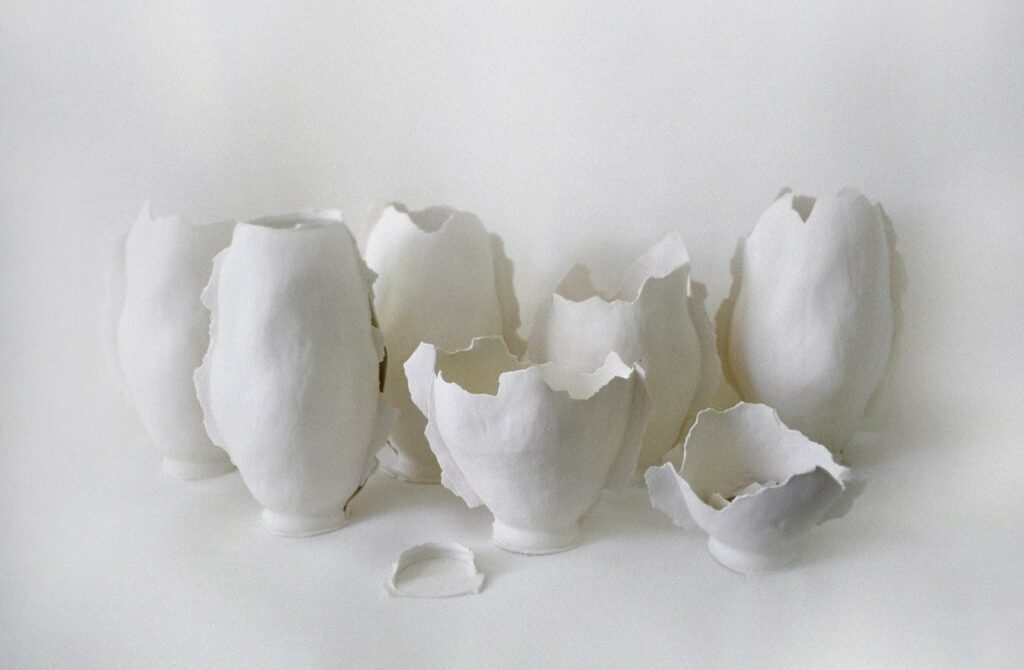 כלים שבורים - נשר איריס