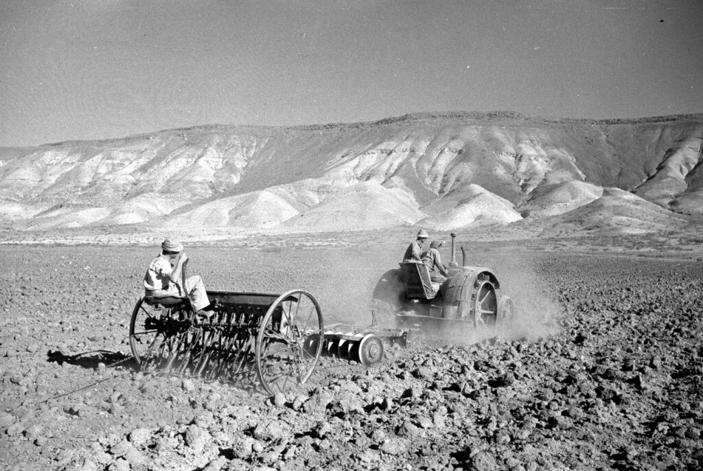 עבודה בשדות עין גב - אופנהיים נפתלי