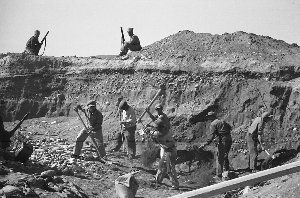 נוטרים מאבטחים עבודת כריית חומר בשפך נהרות הירדן והירמוך - אופנהיים נפתלי