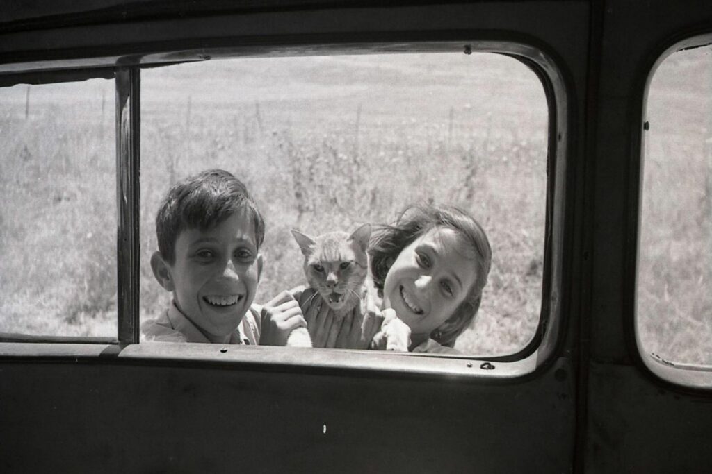 במכונית הצלם- מבט החוצה - אופנהיים נפתלי