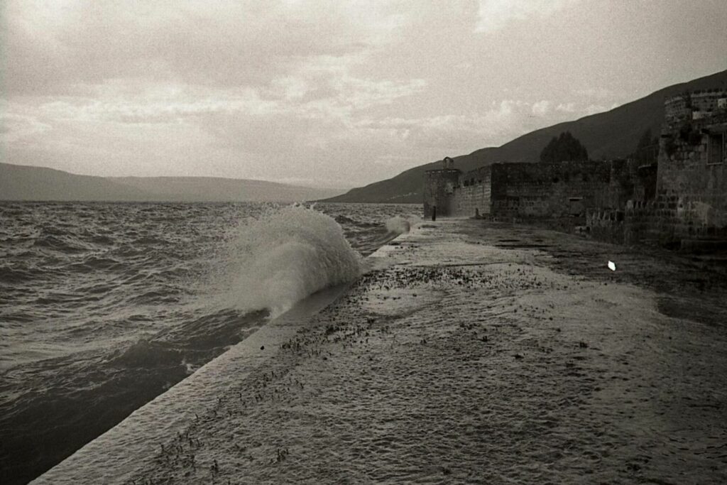 הרציף על שפת הכנרת - אופנהיים נפתלי