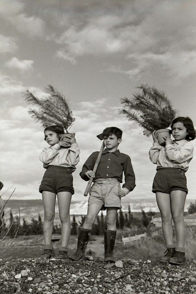 ט"ו בשבט - אופנהיים נפתלי