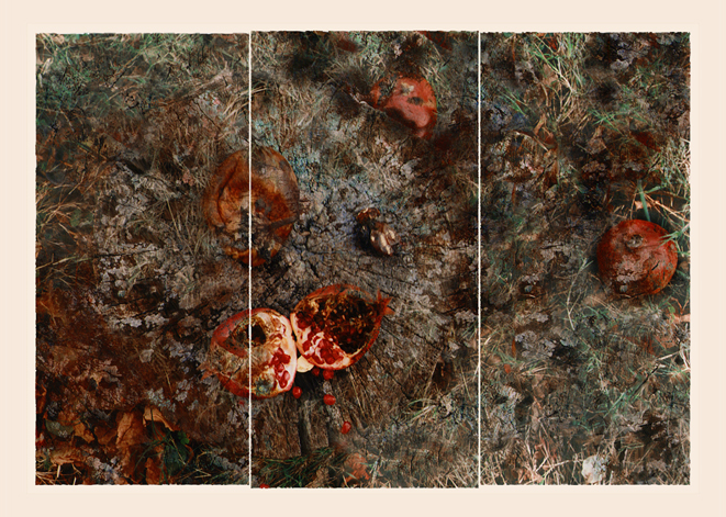 סוף והתחלה - שביב חנה