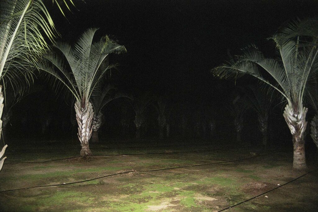 ללא כותרת - ים אנה