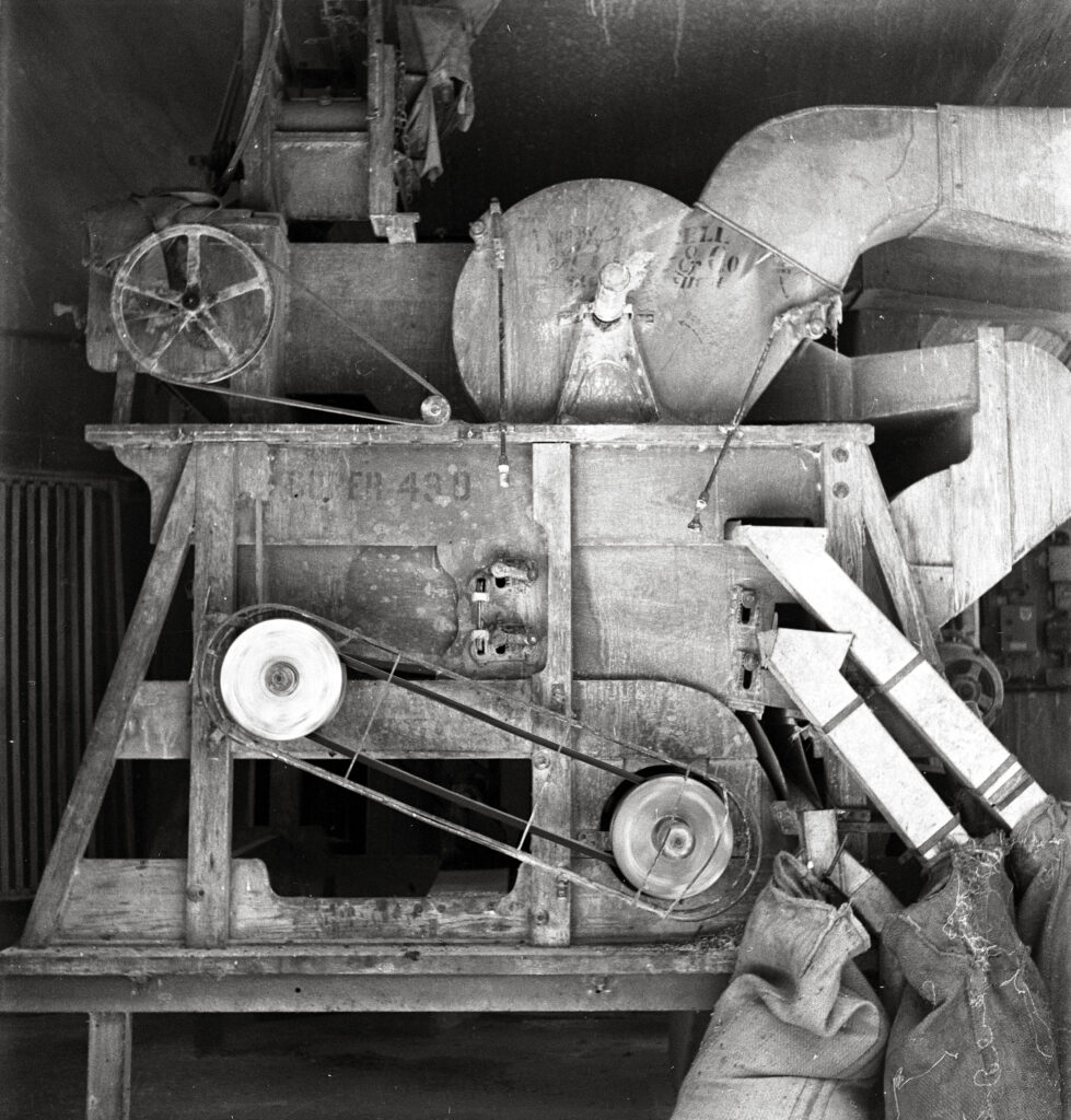 מזרה לניקוי גרעינים עשוי עץ - ריבנר טוביה