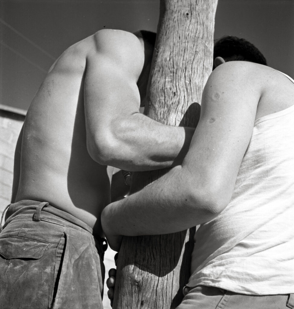 ידי עמל - ריבנר טוביה