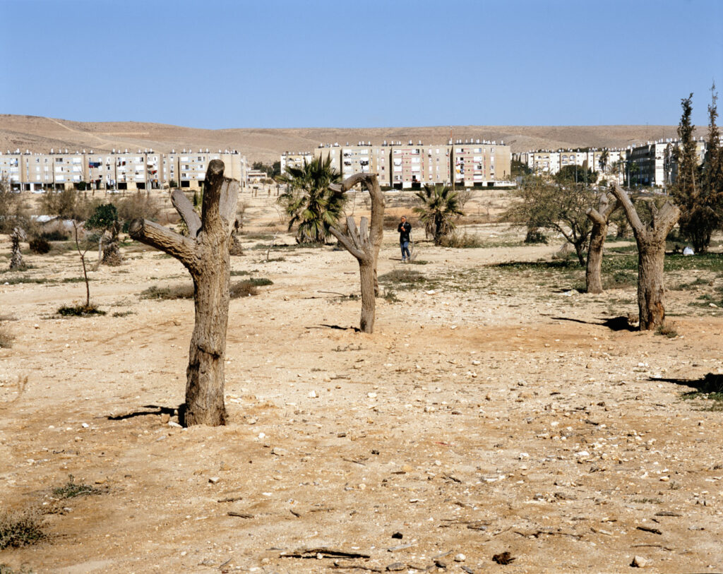 ללא כותרת - שם טוב יגאל