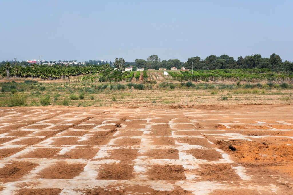 ללא כותרת - שם טוב יגאל