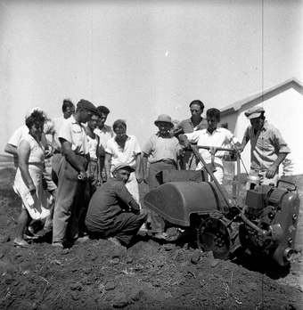 טרקטור ראשון - שיפטן גדעון